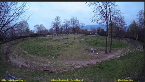 Hayvanat bahçesi