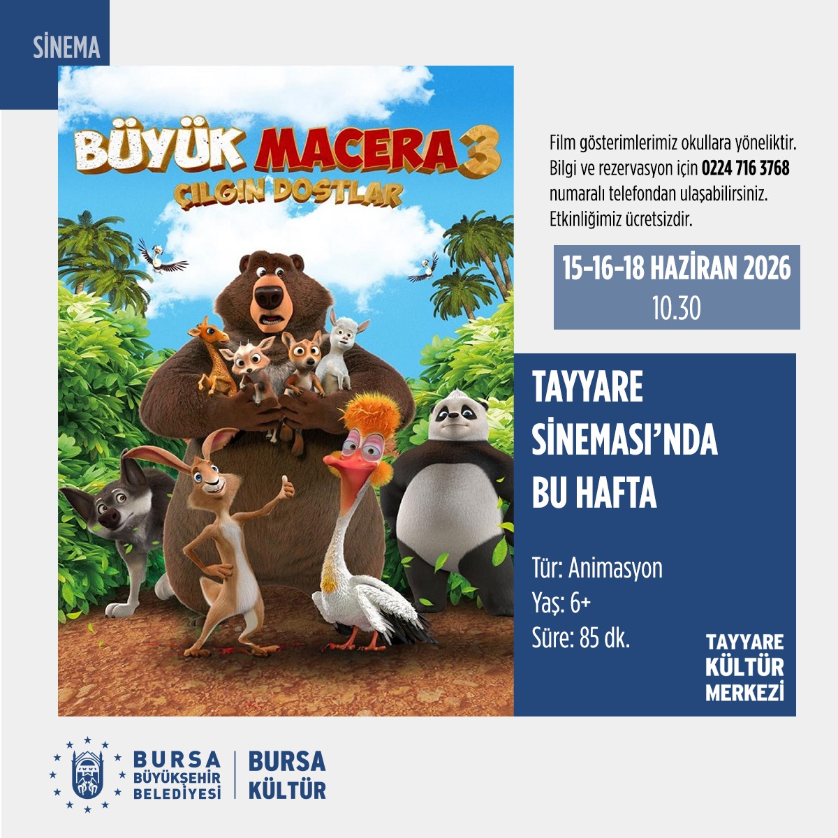 Büyük Macera 3 - Çılgın Dostlar - Tayyare Sineması