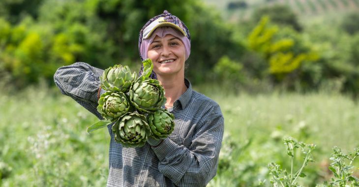 Bursa'nın tescilli lezzetinde hasat zamanı